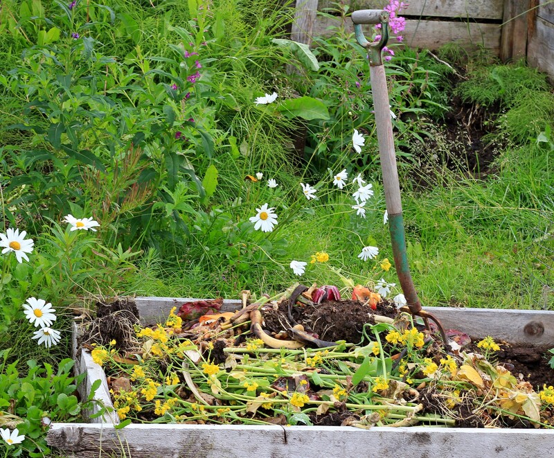 Why Proper Cookware Disposal Makes a Difference for the Environment